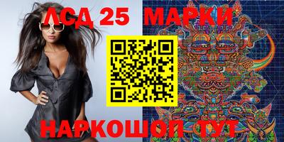 гидропоника Сланцы