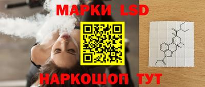 гидропоника Славгород