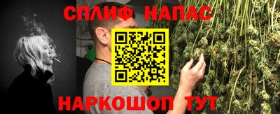 гидропоника Славгород