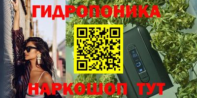 гидропоника Славгород