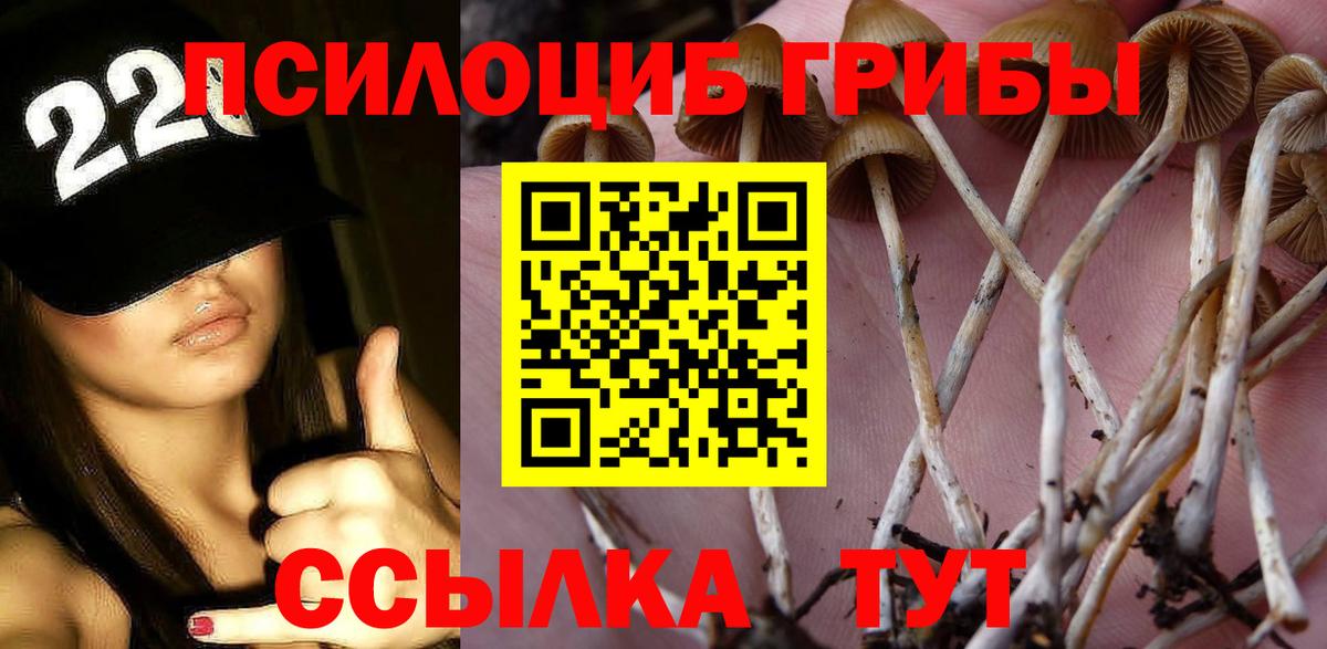Галлюциногенные грибы MAGIC MUSHROOMS Назрань