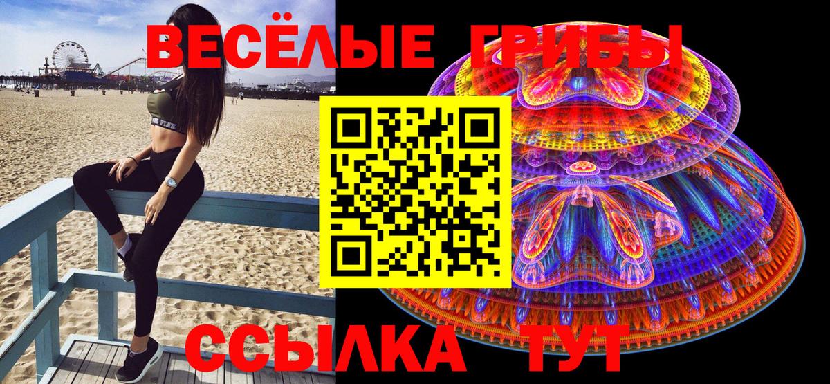 Псилоцибиновые грибы GOLDEN TEACHER  Вход с VPN  Галлюциногенные грибы Magic Shrooms  Назрань 